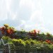Kubota & Bachmann,Kaohsiung Port & Cruise Center, Kaohsiung architecture, green architecture, eco architecture, green design, sustainable design, kubota bachmann, green roof, vegetative carpet, planted roof, taiwan architecture