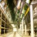 Kubota & Bachmann,Kaohsiung Port & Cruise Center, Kaohsiung architecture, green architecture, eco architecture, green design, sustainable design, kubota bachmann, green roof, vegetative carpet, planted roof, taiwan architecture