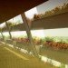 Kubota & Bachmann,Kaohsiung Port & Cruise Center, Kaohsiung architecture, green architecture, eco architecture, green design, sustainable design, kubota bachmann, green roof, vegetative carpet, planted roof, taiwan architecture