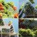 Kubota & Bachmann,Kaohsiung Port & Cruise Center, Kaohsiung architecture, green architecture, eco architecture, green design, sustainable design, kubota bachmann, green roof, vegetative carpet, planted roof, taiwan architecture