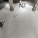 Motoi Yamamoto, Labyrinths, maze, salt sculpture, eco art, salt maze, green design