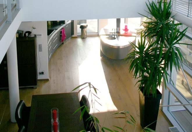 rooftop penthouse, den haag, archipelontwerpers, green renovation, rooftop architecture, green design, sustainable architecture