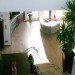 rooftop penthouse, den haag, archipelontwerpers, green renovation, rooftop architecture, green design, sustainable architecture