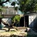 Pim Guesthouse, all(zone), bangkok, reclaimed wood, salvaged wood, recycled materials, thai sala