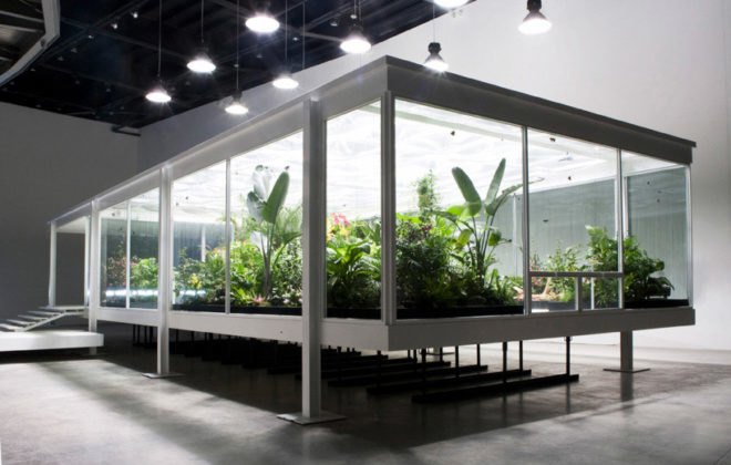 Butterfly conservatory, MACRO Museum, Bik Van der Pol, Enel Contemporanea, Farnsworth House, Liesbeth Bik, Jos Van der Pol, environmental change