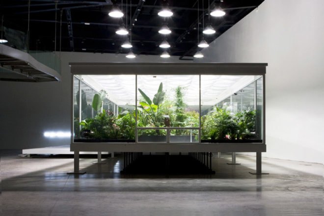 Butterfly conservatory, MACRO Museum, Bik Van der Pol, Enel Contemporanea, Farnsworth House, Liesbeth Bik, Jos Van der Pol, environmental change