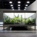 Butterfly conservatory, MACRO Museum, Bik Van der Pol, Enel Contemporanea, Farnsworth House, Liesbeth Bik, Jos Van der Pol, environmental change