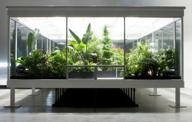 Butterfly conservatory, MACRO Museum, Bik Van der Pol, Enel Contemporanea, Farnsworth House, Liesbeth Bik, Jos Van der Pol, environmental change