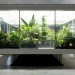 Butterfly conservatory, MACRO Museum, Bik Van der Pol, Enel Contemporanea, Farnsworth House, Liesbeth Bik, Jos Van der Pol, environmental change