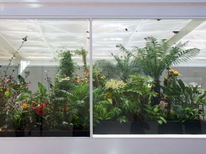 Butterfly conservatory, MACRO Museum, Bik Van der Pol, Enel Contemporanea, Farnsworth House, Liesbeth Bik, Jos Van der Pol, environmental change