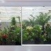 Butterfly conservatory, MACRO Museum, Bik Van der Pol, Enel Contemporanea, Farnsworth House, Liesbeth Bik, Jos Van der Pol, environmental change
