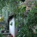 recycled glass, eco-art, environmental awareness, Kenya, Nani Croze, eco-tourism, kitengela, windpower, solar power, biogas, off-grid