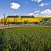 Ecopolis Plaza, ecosistema urbano, green child care center, green community center, green school, green urban design