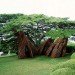 Patrick Dougherty, tree house, treehouse, house made of trees, living house, nest house, nest houses, living buildings, eco architecture, green architecture, green design, eco design, sustainable design, green building