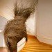 Patrick Dougherty, tree house, treehouse, house made of trees, living house, nest house, nest houses, living buildings, eco architecture, green architecture, green design, eco design, sustainable design, green building