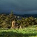 Patrick Dougherty, tree house, treehouse, house made of trees, living house, nest house, nest houses, living buildings, eco architecture, green architecture, green design, eco design, sustainable design, green building