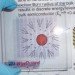 New Energy Technologies SolarWindow, transparent solarwindow, organic solar cells, eco friendly solarwindow, energy generating film