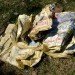 phone book, delivery, paper, waste, recycling, soy ink, printing, website, eco, green, sustainable, rant, yellow pages, directory