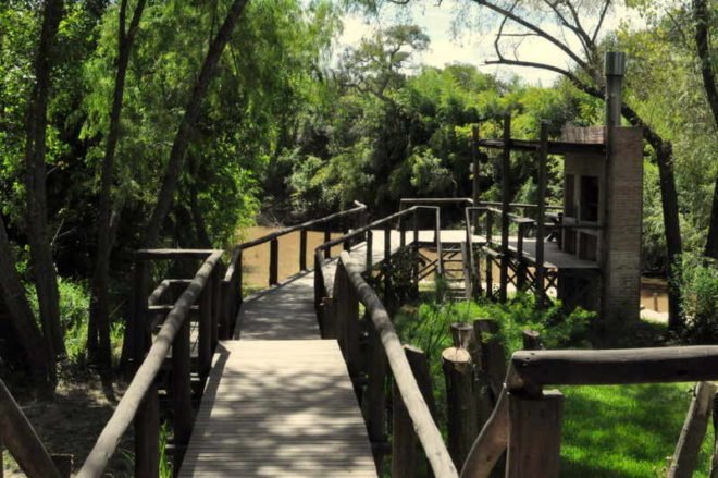 delta escape, treehouse, delta escape treehouse, green design, green building