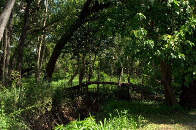 delta escape, treehouse, delta escape treehouse, green design, green building