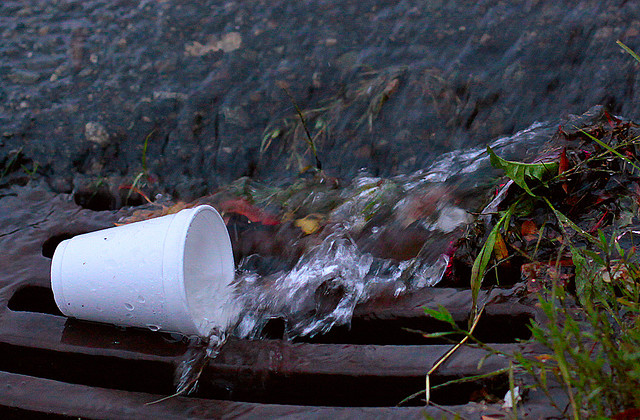 green capitol program, green capitol program over, styrofoam cups, washington dc, washington dc policy, nancy pelosi, green initiatives, ban on styrofoam