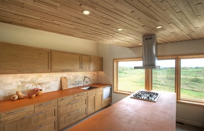 passive solar, Green building, Blair Barn House, 2011 AIA Housing Awards, barn house, Wisconsin green home, eco house design, radient heating, geothermal, solar thermal, oak siding, barn inspired design, Alchemy Architects,