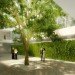 City Green Court, richard meier & partners, daylighting, atrium, living wall, leed, prague