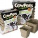sustainable design, green design, packaging the future, green packaging, sustainable packaging, alternative packaging materials, green pots, sustainable planters, eco planter, biodegradable pots, gardening