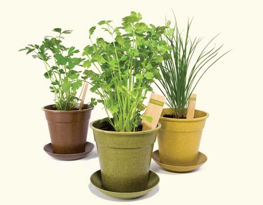 sustainable design, green design, packaging the future, green packaging, sustainable packaging, alternative packaging materials, green pots, sustainable planters, eco planter, biodegradable pots, gardening
