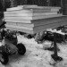 form and forest, pioneer cabin, flat pack prefab, prefab cabin, british columbia