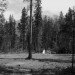form and forest, pioneer cabin, flat pack prefab, prefab cabin, british columbia