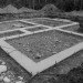 form and forest, pioneer cabin, flat pack prefab, prefab cabin, british columbia