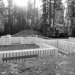 form and forest, pioneer cabin, flat pack prefab, prefab cabin, british columbia