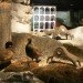  adobe building, Biodegradable, biologiska, copenhagen design week, Sweden, stockholm Furniture Fair, Biologiska Museum, Karin Auran Frankenstein, swedish design, green design, biodegradable materials, poo design, dung design, adobe design