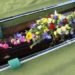 green funeral, promessa organic, liquid nitrogen funeral, funeral bad for environment, cremation environment, funeral environment, terminator 2