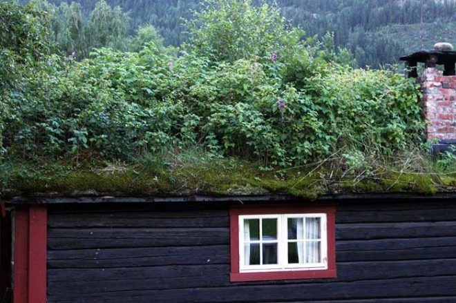 grass roof, norwegian home, roof garden, green architecture, norway architecture, eco architecture, sustainable architecture, green design, eco design
