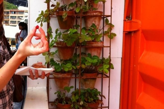 greenhouse, joost bakker, sydney, shipping containers, eco restaurant, pop up cafe, zero waste
