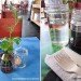 greenhouse, joost bakker, sydney, shipping containers, eco restaurant, pop up cafe, zero waste