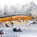 Ice Hockey Rink, Umea, Sweden, green roof, park, BIG, green design, sustainable architecture