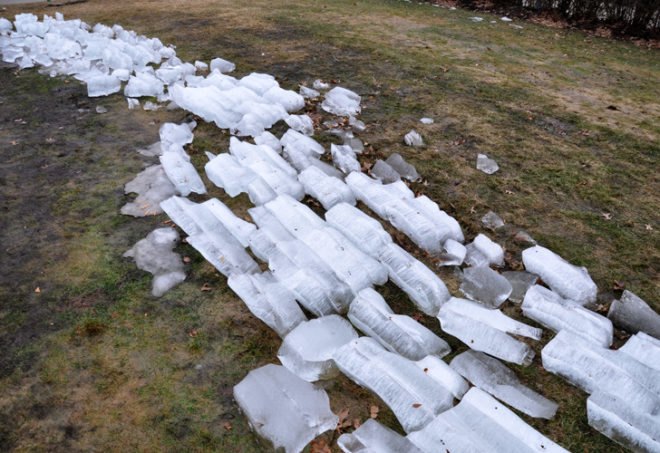 icewall, yushiro okamoto, MIT, seeds, ice blocks, ice wall, art installation, eco art