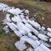 icewall, yushiro okamoto, MIT, seeds, ice blocks, ice wall, art installation, eco art