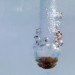 icewall, yushiro okamoto, MIT, seeds, ice blocks, ice wall, art installation, eco art