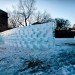 icewall, yushiro okamoto, MIT, seeds, ice blocks, ice wall, art installation, eco art