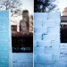 icewall, yushiro okamoto, MIT, seeds, ice blocks, ice wall, art installation, eco art