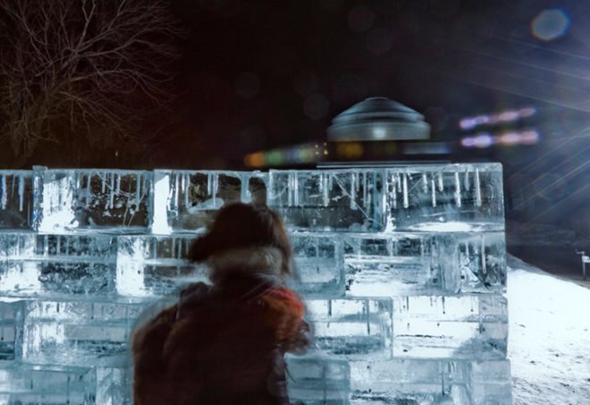 icewall, yushiro okamoto, MIT, seeds, ice blocks, ice wall, art installation, eco art