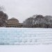 icewall, yushiro okamoto, MIT, seeds, ice blocks, ice wall, art installation, eco art