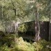 eco-architecture, Norway, Knut Slinning, Jensen & Skodvin, eco-tourism, eco-hotel, boutique hotel, nature, national tourist route, pine, stilts, cabins