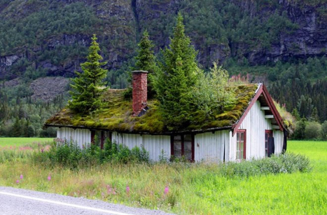 grass roof, norwegian home, roof garden, green architecture, norway architecture, eco architecture, sustainable architecture, green design, eco design