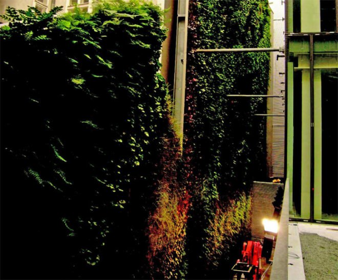 “green wall”, “living wall”, Eco Architecture, ecotecture, france, green architecture, Green Building, green design, Green Wall Living Architecture, jean nouvel,Patrick Blanc, Green Wall, Sofitel Vienna Stephansdom-Stilwerk, Sofitel Vienna, vertical garden, green design, eco design, sustainable design