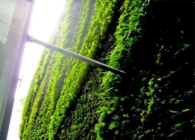 “green wall”, “living wall”, Eco Architecture, ecotecture, france, green architecture, Green Building, green design, Green Wall Living Architecture, jean nouvel,Patrick Blanc, Green Wall, Sofitel Vienna Stephansdom-Stilwerk, Sofitel Vienna, vertical garden, green design, eco design, sustainable design